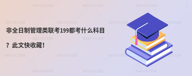 ȫƹ199ʲôĿĿղ