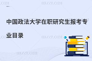 中國(guó)政法大學(xué)在職研究生報(bào)考專(zhuān)業(yè)目錄